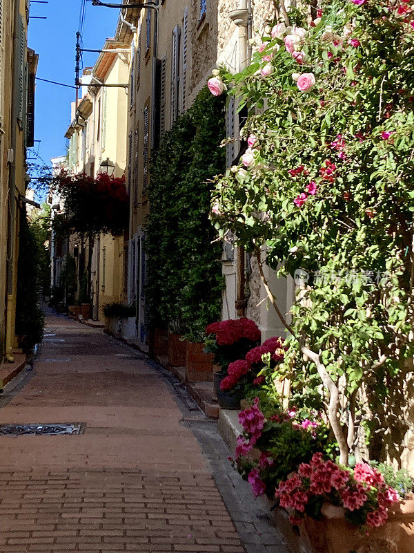 法国- Côte d 'Azur - Antibes -老城区的小街